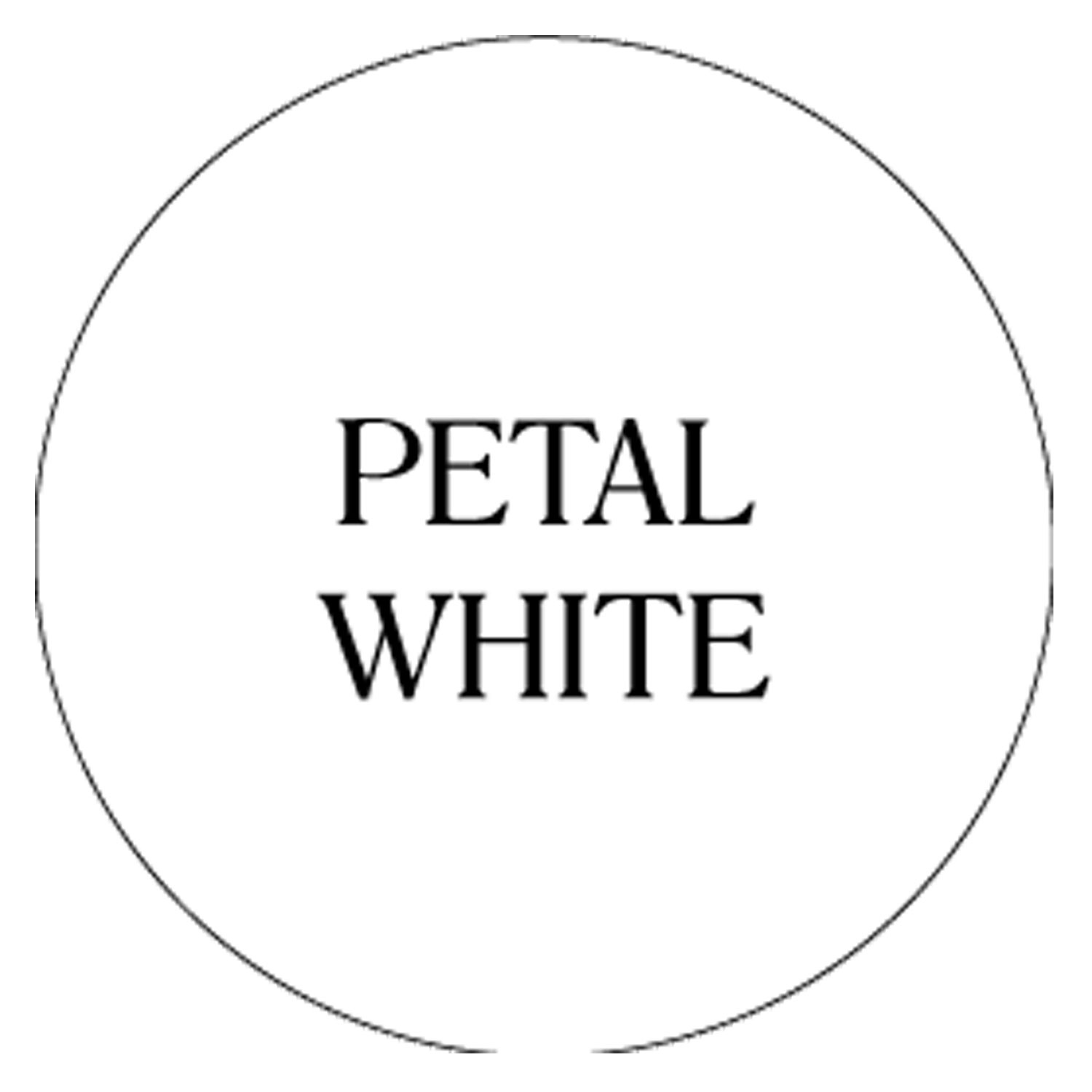 Shabby Chic Chalk Based Garden Paint 250ml