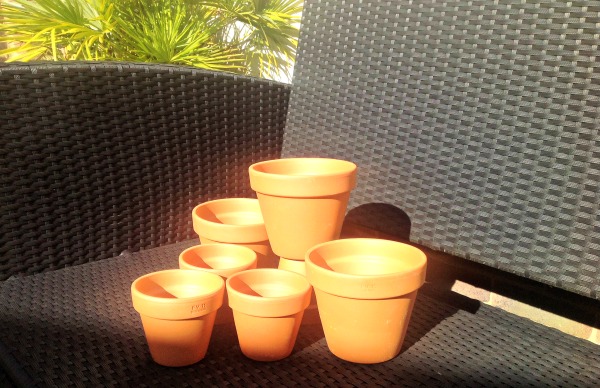 terracotta plant pots