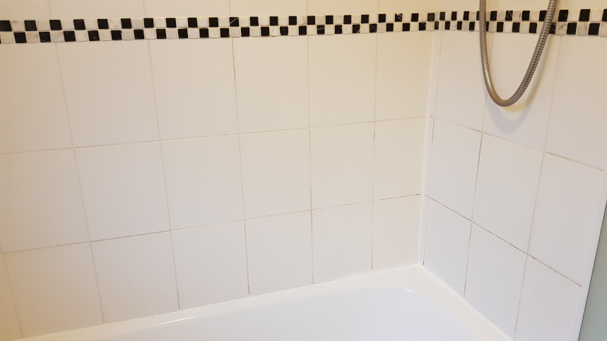 Before grout pen 1