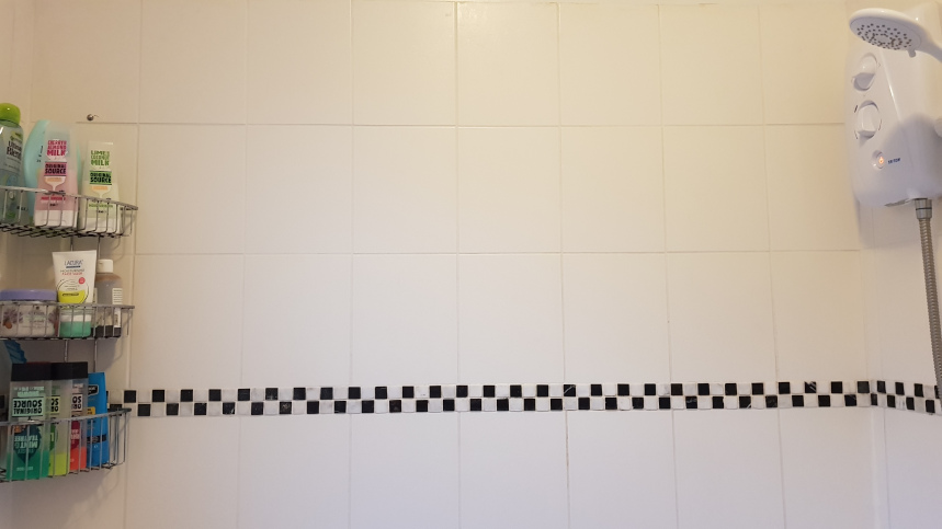 Before grout pen 2