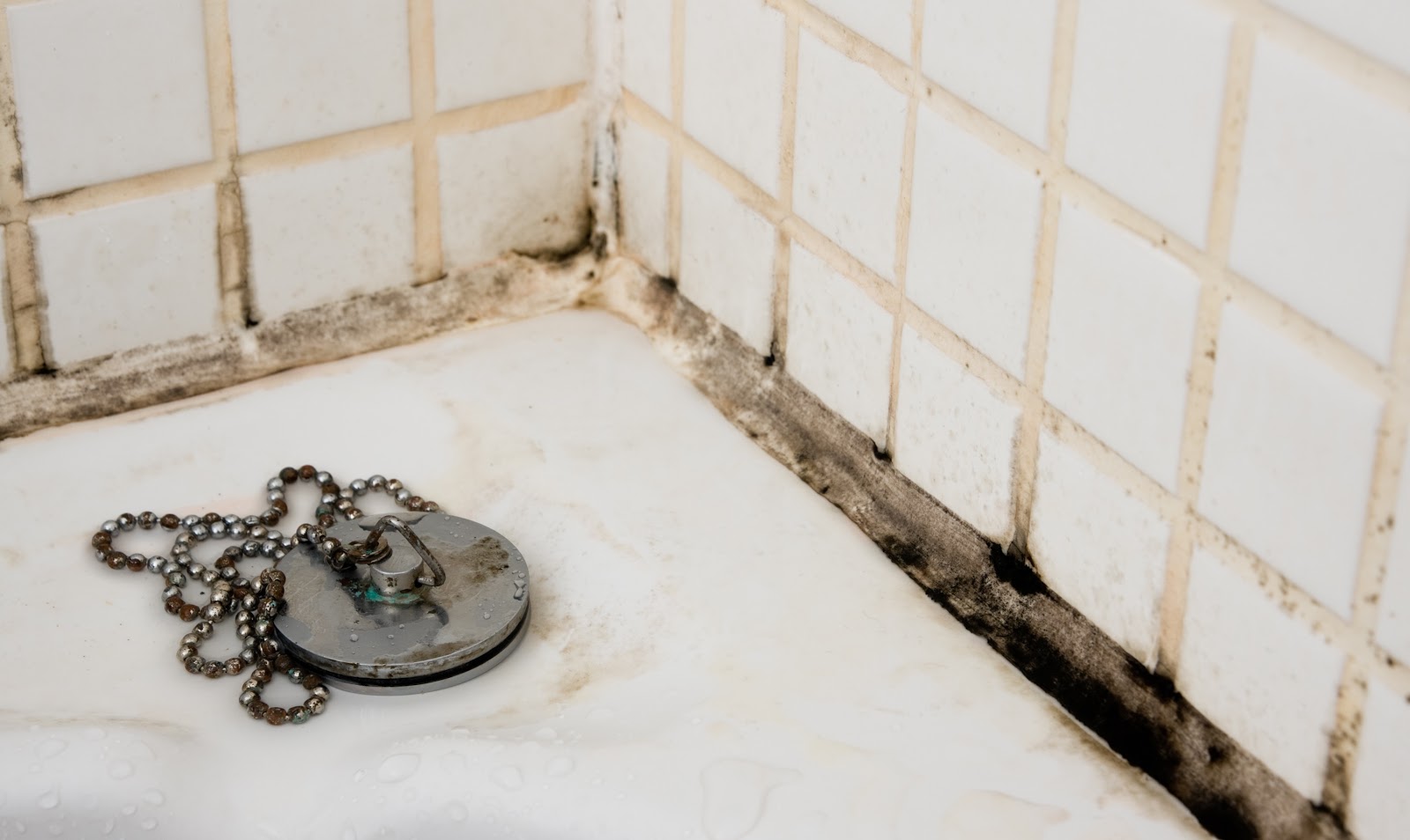 Twitter - How To Remove Mould From Grout In Bathroom