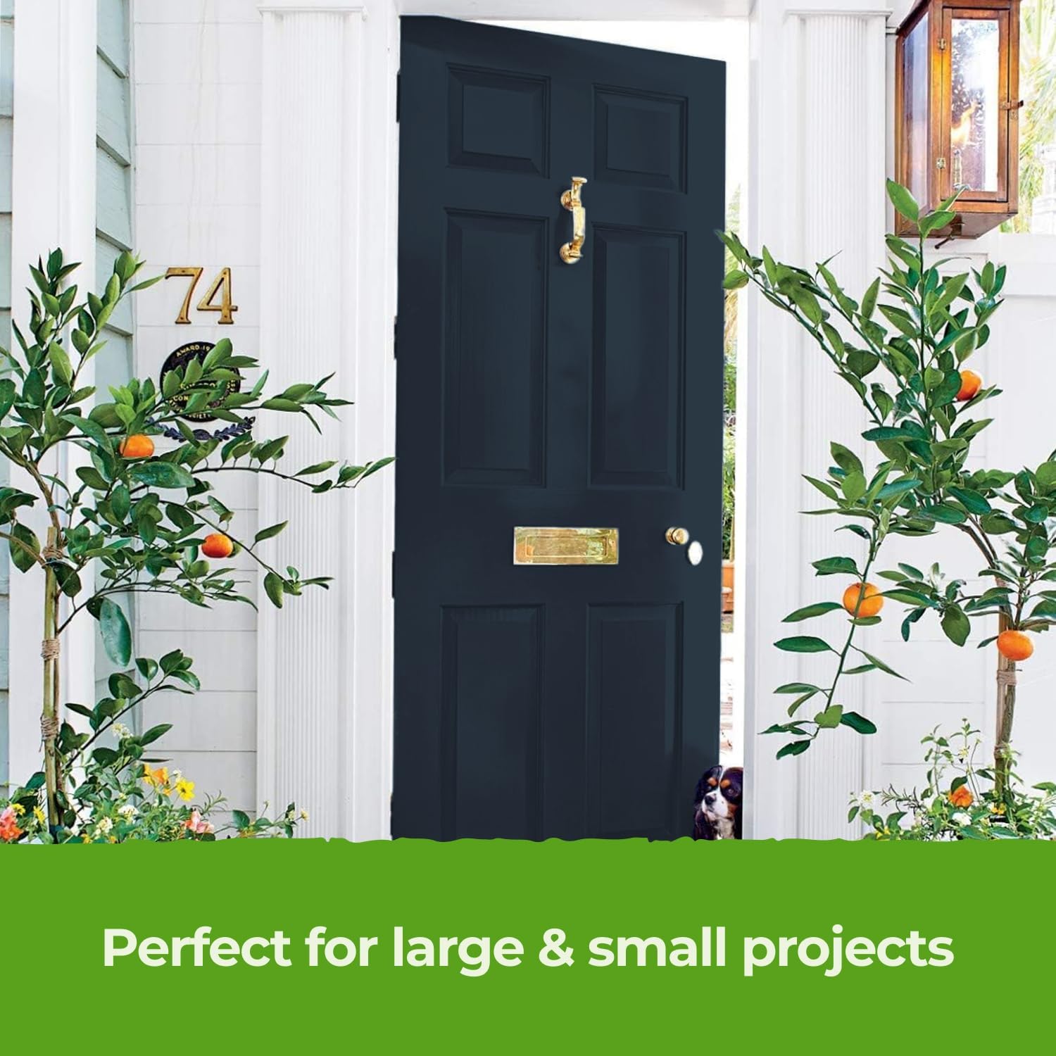 The_One_Paint_Midnight_5